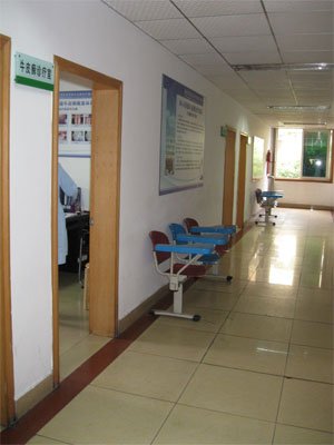 1-12061410113UD.jpg
