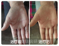 1-120P1150P4216.gif